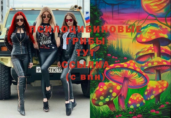 Альфа ПВП Алзамай