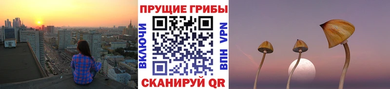 даркнет Telegram  Красноуфимск  Псилоцибиновые грибы Magic Shrooms 