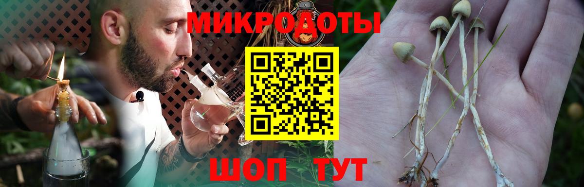 сколько стоит  Псилоцибиновые грибы ЛСД  Вход с VPN  Красноуфимск 